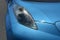 2013 Nissan LEAF S