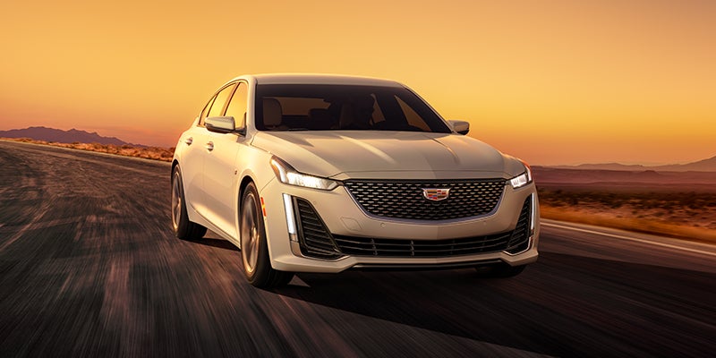 featuring a luxurious cabin with ambient lighting and a driver-focused layout